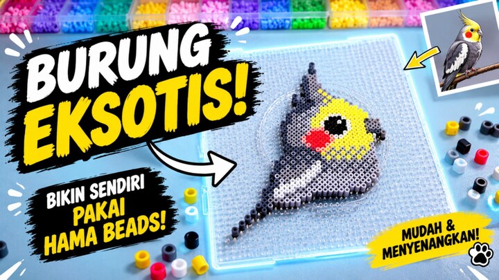 Hama Beads Bentuk Burung Eksotis!