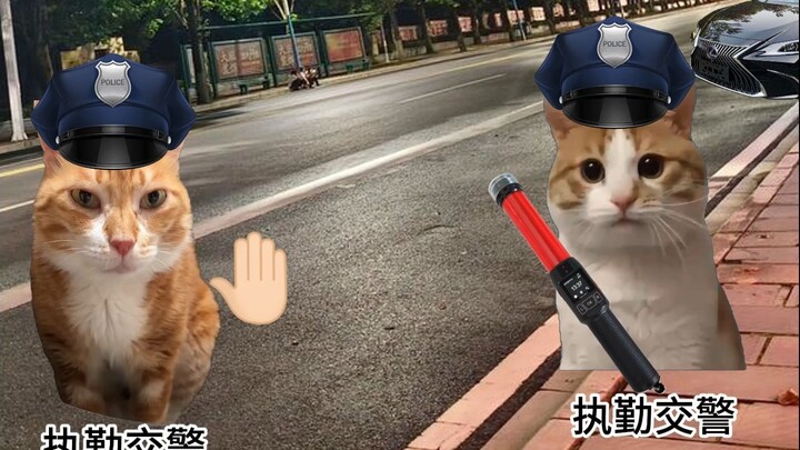 当你不经意间卡了酒驾的BUG