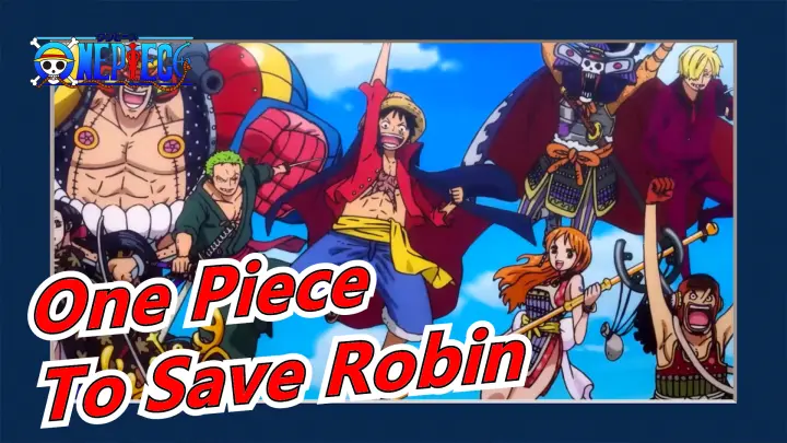 One Piece Epic The Freedom Or The Death Bilibili