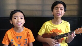 Wild World cover by Koi and Moi