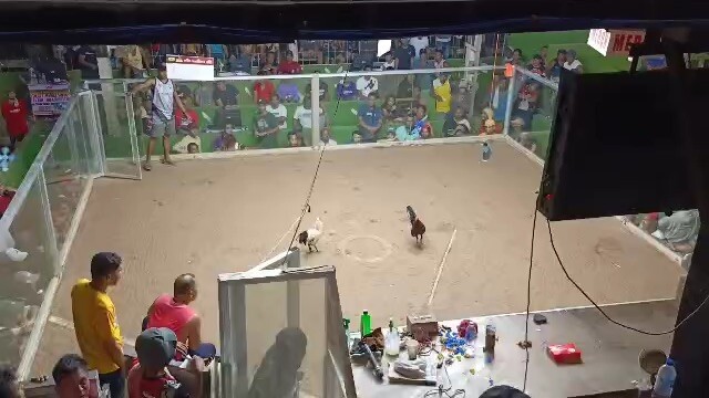 2 wins champion kanawayon ko