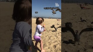 Little Girl Feeds Birds at Beach