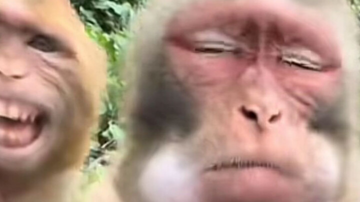 Web Celebrities Profile, Episode 23: Uncle Monkey
