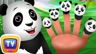 YouTube ChuChuTV | Finger Family Panda Song - Kids Song and Learning Vidoes - ChuChu TV Classics