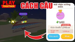 Cách Săn Cá Mới Sau Cập Nhật 2022, Mẹo Chọn Bóng Săn Cá Hiếm Mới | Play Together