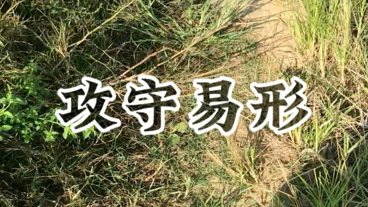 Kalau menanam seperti mereka, menanam sayur memang jadi mudah kok!