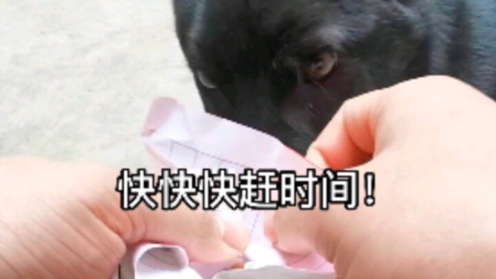 الأخ غو بارع دائمًا في التصرف بسرعة وحزم! يأتي مسرعًا ويغادر مسرعًا!