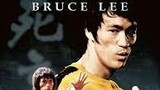 Bruce Lee : Game Of Death Bahasa Indonesia