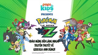 pokemon xyz 103 (287)