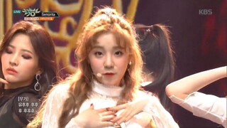 (G)I-DLE最新回归曲Senorita 0308打歌舞台+个人直拍