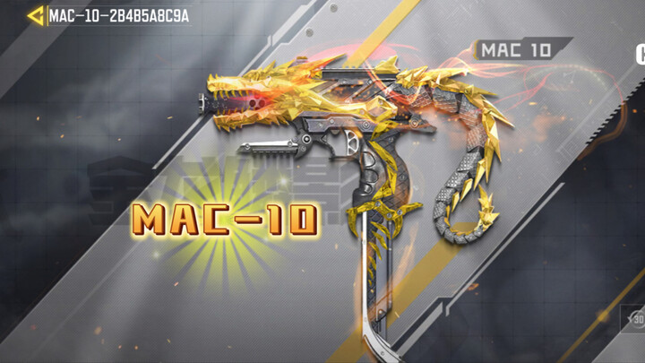 كول أوف ديوتي ماك-10