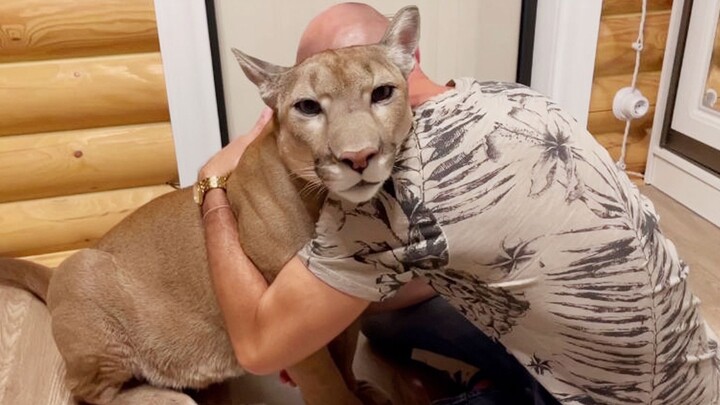 Puma Messi: Without a pound of big shrimp, you can’t win me over today!