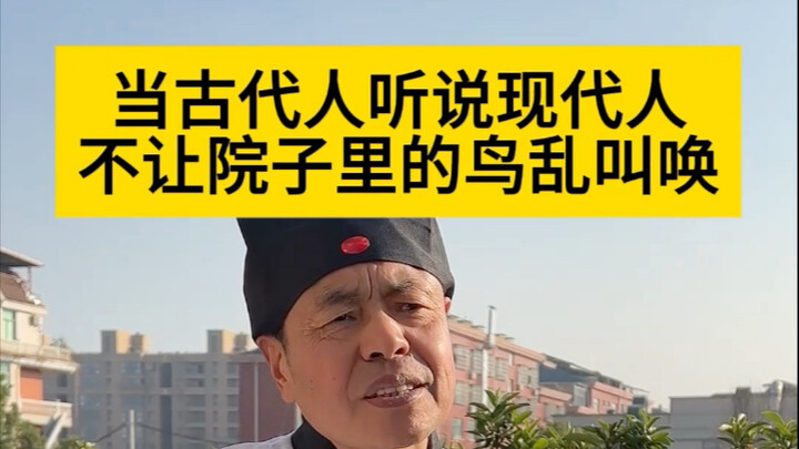 Not the bird sound I like—just take it out.