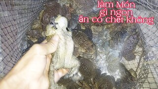 Sôi Đêm,Đi Sôi Cốc Về Ăn Món Ăn Rất Ngon Mà Ích Ai Dám Ăn | Vui Miền Tây Vlog