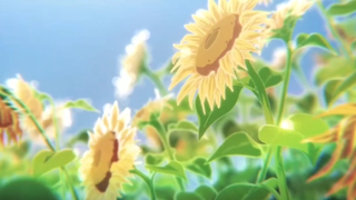 Lắng nghe và ngắm nhìn khung cảnh bình yên trong Anime bạn sẽ thấy lòng mình dịu lại☘️