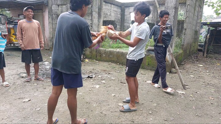 win (kill) micro bantam