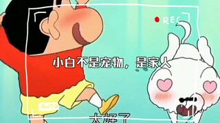 Xiaobai is not a pet, he is a family member