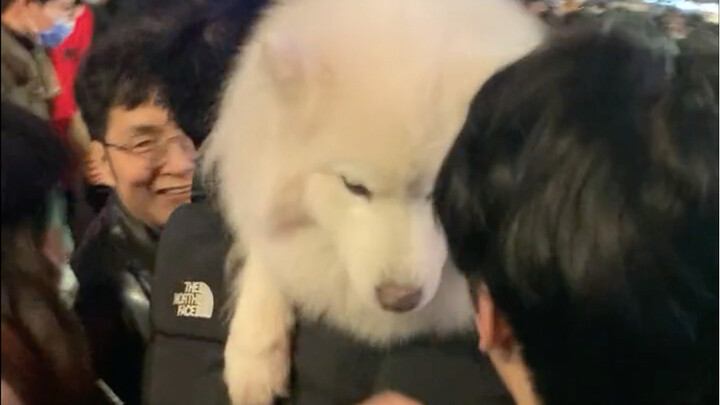 ปีใหม่ทำให้ผมของเยเย่มันเยิ้ม