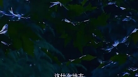 Anh bảo vệ nghèo cứu sống cô gái, nào ngờ cô lại là ái nữ của tổng giám đốc – tặng biệt thự để cảm ơ