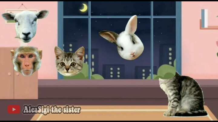 WRONG HEADS !!! Menebak yang mana kepala Kucing Lucu Cute Cats and Kittens