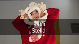 两只小熊和一只🐒🌿h h h#刺痛 #Stellar