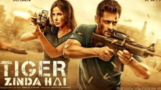 TIGER ZINDA HAI (2017) Dubb Indonesia