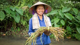 Ngó khoai thương nhớ hương vị đồng quê khó quên ( Colocasia esculenta ) I Ẩm Thực Mẹ Làm