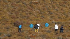 BTS Bon Voyage Season 4 Eps 3 behind (eng sub)