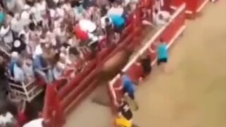 这票买值了，气氛一下子就活跃起来了