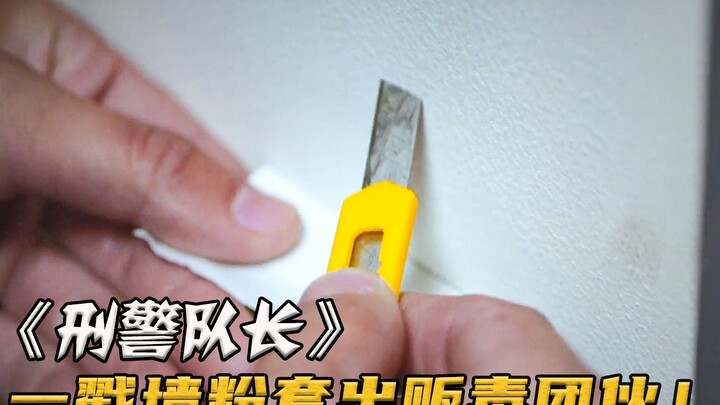 Tên buôn ma túy cứng đầu không khai, ai ngờ cảnh sát kỳ cựu chỉ cần một nhúm bụi tường là lập tức mo