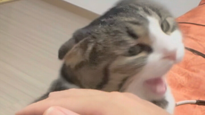 Immersive Listening to Sucking Sounds