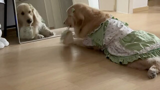 Everyone is busy with their own things.