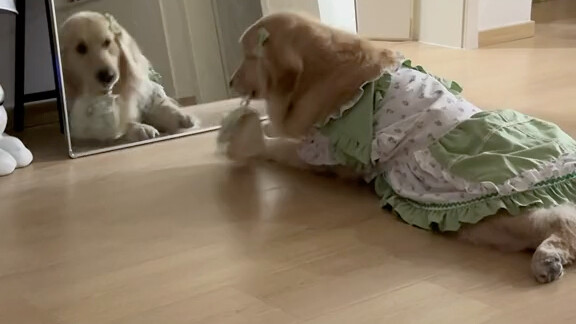 كلٌ منا مشغول بشؤونه.