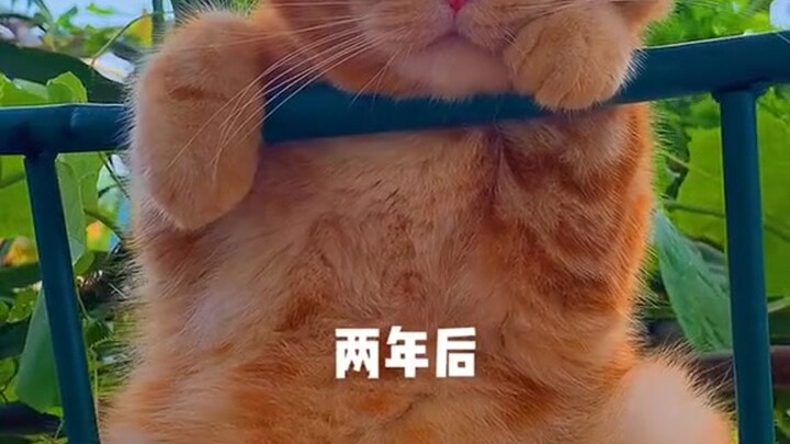 หลายคนขอให้ฉันถ่ายคลิปโชว์น้องจู๋ตอนที่ยังใส่ใบไม้อยู่ แถมบอกว่าจะกดไลก์ให้แน่นอน แต่สุดท้ายก็เป็นแบ