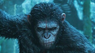 ดูหนังไตรภาค Dawn of the Planet of the Apes รวดเดียวจบ