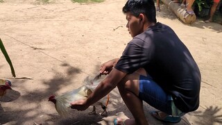 PANALO PINATAKBO KALABAN😅