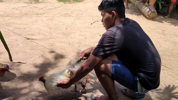 PANALO PINATAKBO KALABAN😅