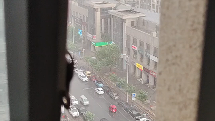 It's the season for making trouble for Pigsy again