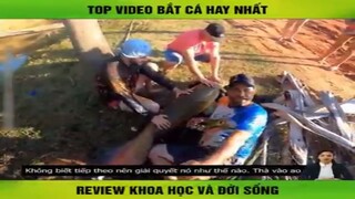 Review Những Cách Bắt Cá Hay Nhất | Review Cuộc Sống Và Con Người | Kênh Hài Hước TV