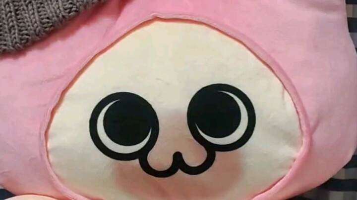 The boss’s hat fits me perfectly, meow～