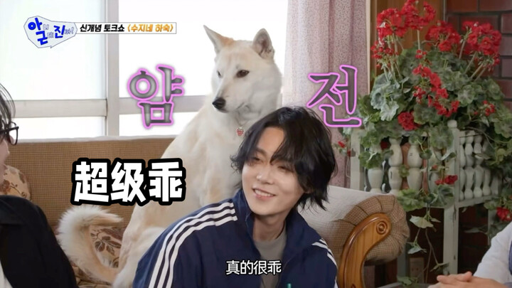 Anjing Jin Xiaozhong benar-benar sangat penurut hahaha