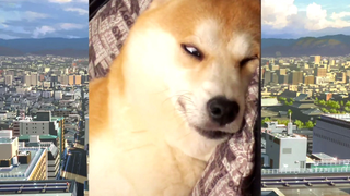 ดูแล้วหายเครียด series 16