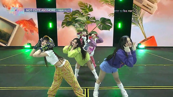 ILLIT jellyous + NOT CUTE ANYMORE Performance