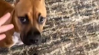 被妈妈支配的恐惧