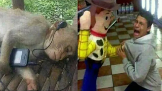 รวมคลิปไทย คลิปตลก