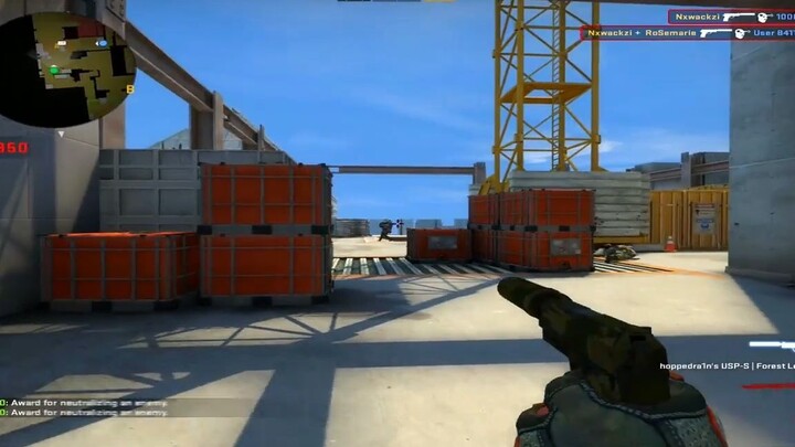 Điểm sáng trong CSGO phần 40 #gamehay #yeugame