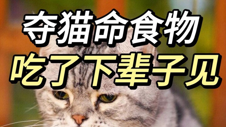 Kinh nghiệm cứu mạng mà nhiều chú mèo đã đánh đổi bằng cả tính mạng