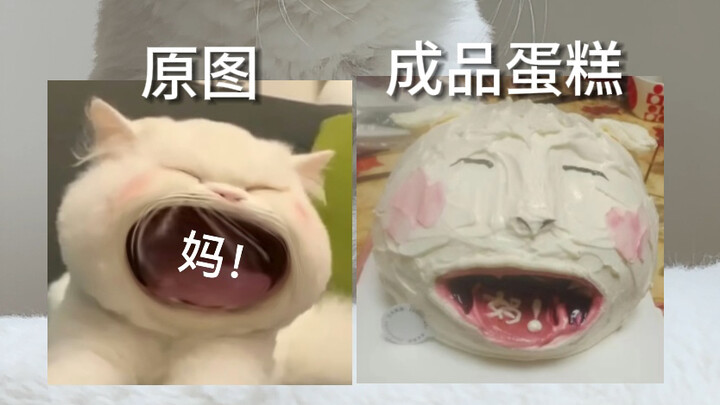 I can't take it anymore! When the cat saw itself made into a cake by the bakery, it completely lost 