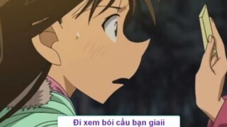 Mẫu bạn gái lý tưởng của Shinichi