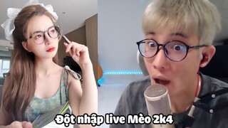 Đột nhập live Mèo 2k4 gánh team và cái kết Phần 2- Tập 1